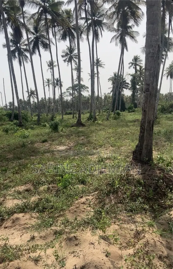 Terrain Disponible À Jacqueville