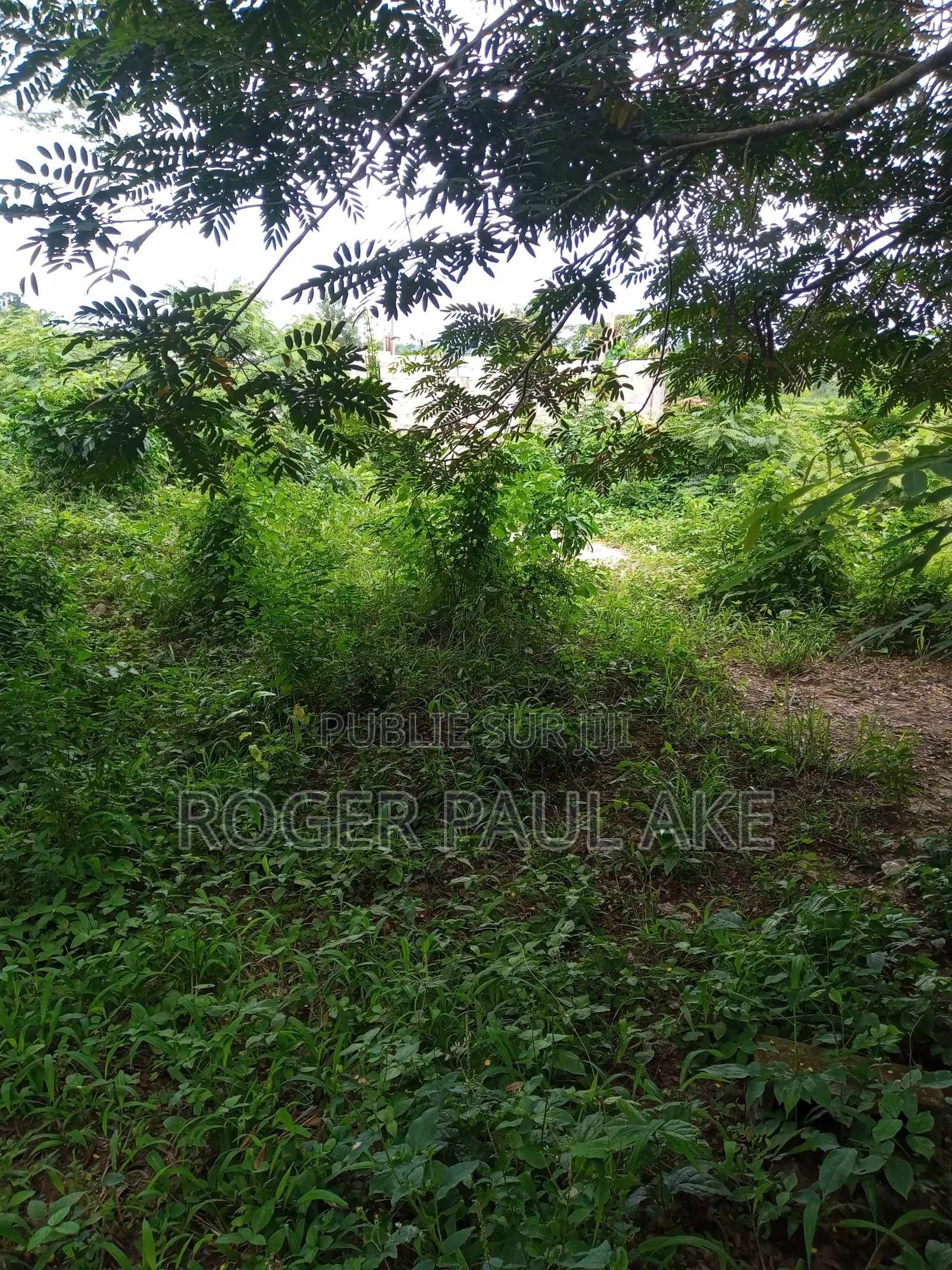 Agboville C'est Abidjan 3 Terrain Nest Jamais en Brousse.