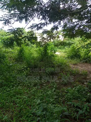 Agboville C'est Abidjan 3 Terrain Nest Jamais en Brousse.