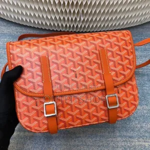 Photo - Saccoche Goyard