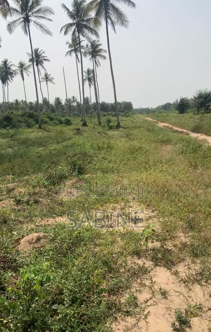 Terrain À Vendre À Jacqueville