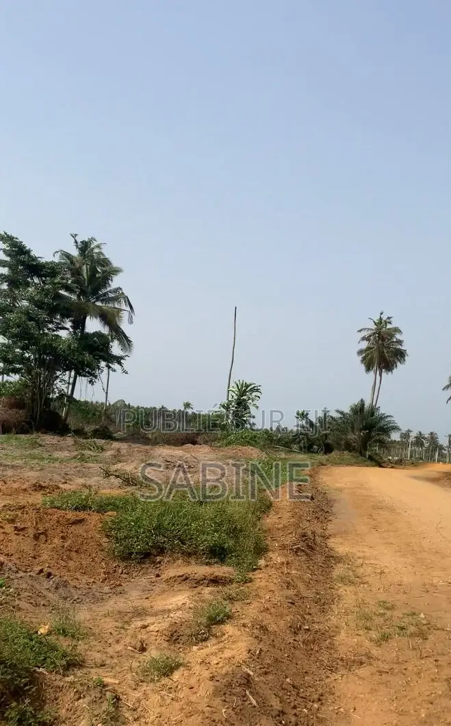 Terrain À Vendre À Jacqueville