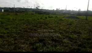 Terrains Viabilisé Payables Sur 3 Ans