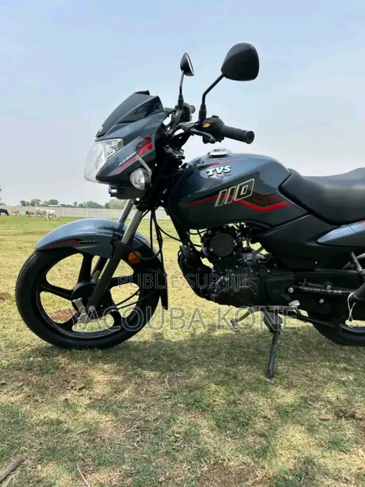 Neuf TVS HLX 125 2024 Autre