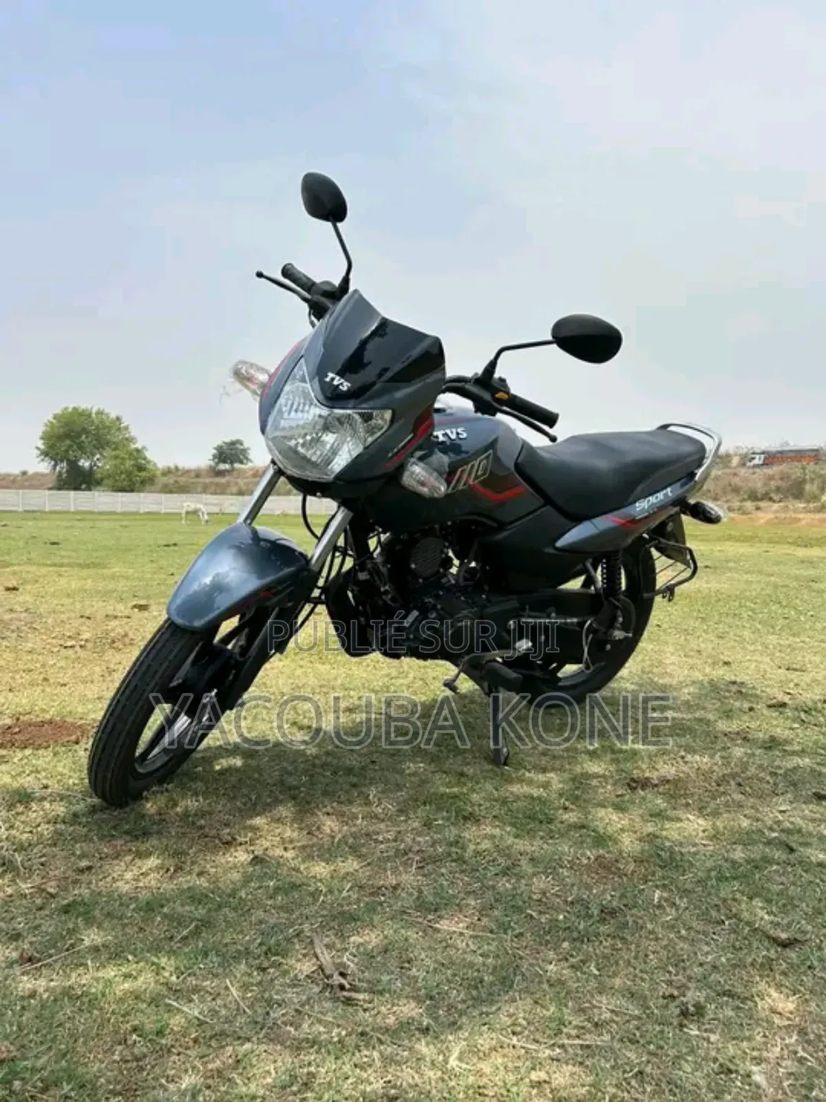 Neuf TVS HLX 125 2024 Autre