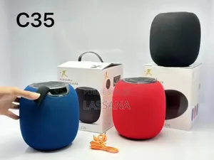Speaker C35