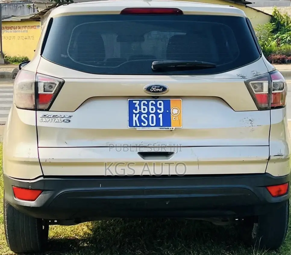 Ford Escape SE 4x4 2018 Gris