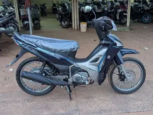 Neuf Yamaha Autre 2025 Gris