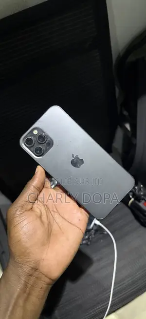 Apple iPhone 12 Pro Max 256 GB Noir