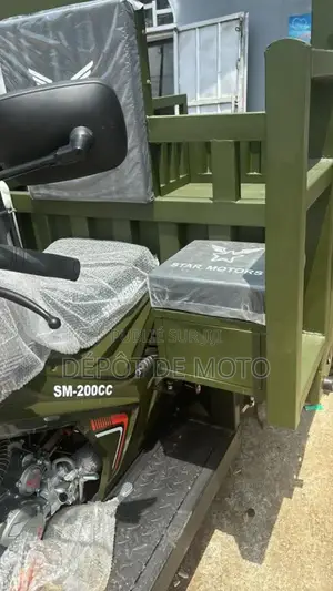 Neuf Tricycle Autre 2023 Vert