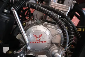 Neuf Tricycle Autre 2023 Vert