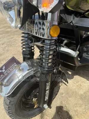 Neuf Tricycle Autre 2023 Vert