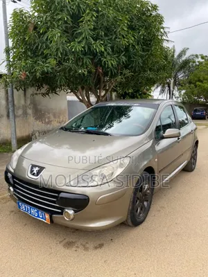 Photo - PEUGEOT 306 2005 Argenté