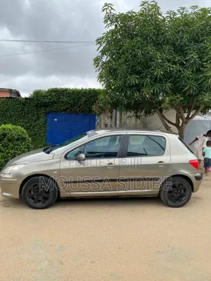 PEUGEOT 306 2005 Argenté