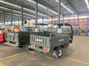 Neuf Tricycle Autre 2025 Vert