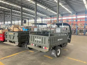 Neuf Tricycle Autre 2025 Vert