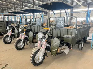 Neuf Tricycle Autre 2025 Vert