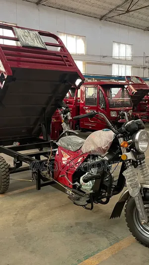 Neuf Tricycle Autre 2024 Rouge