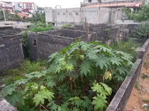 Photo - Vente De 400m2 À La Riviera Palmeraie