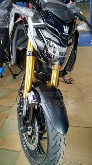 Neuf Haojue DR300 2024 Noir