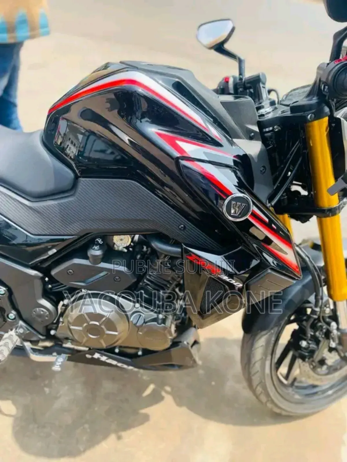 Neuf Haojue DR300 2024 Noir