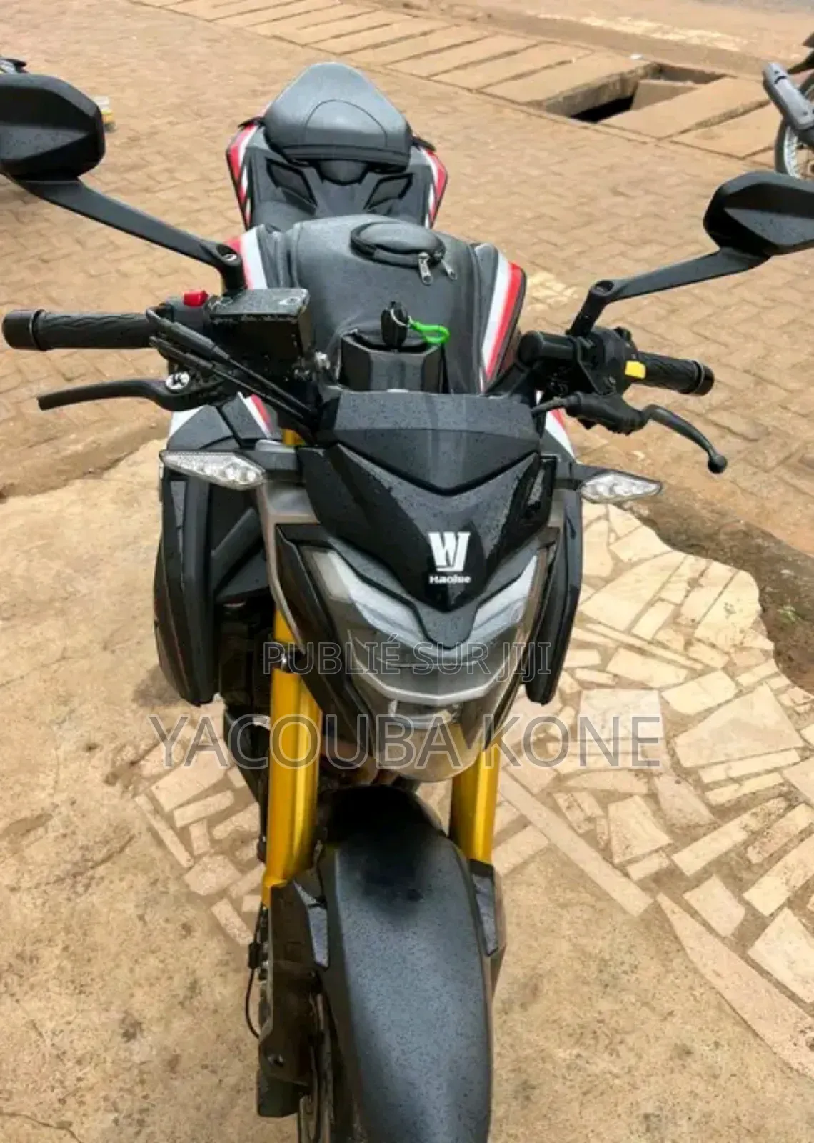 Neuf Haojue DR300 2024 Noir