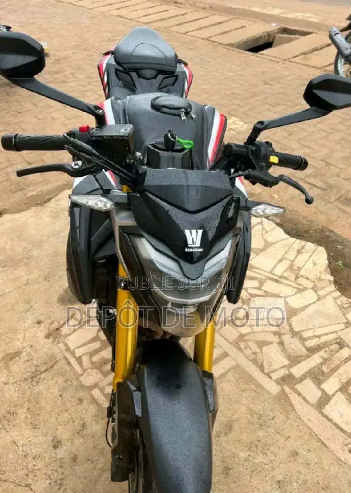Neuf Haojue DR300 2024 Noir