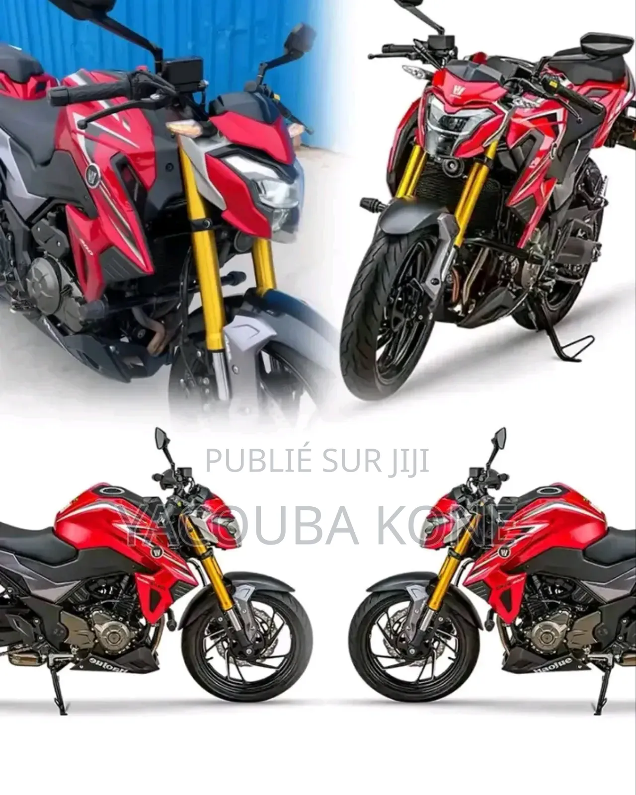 Neuf Haojue DR300 2025 Rouge