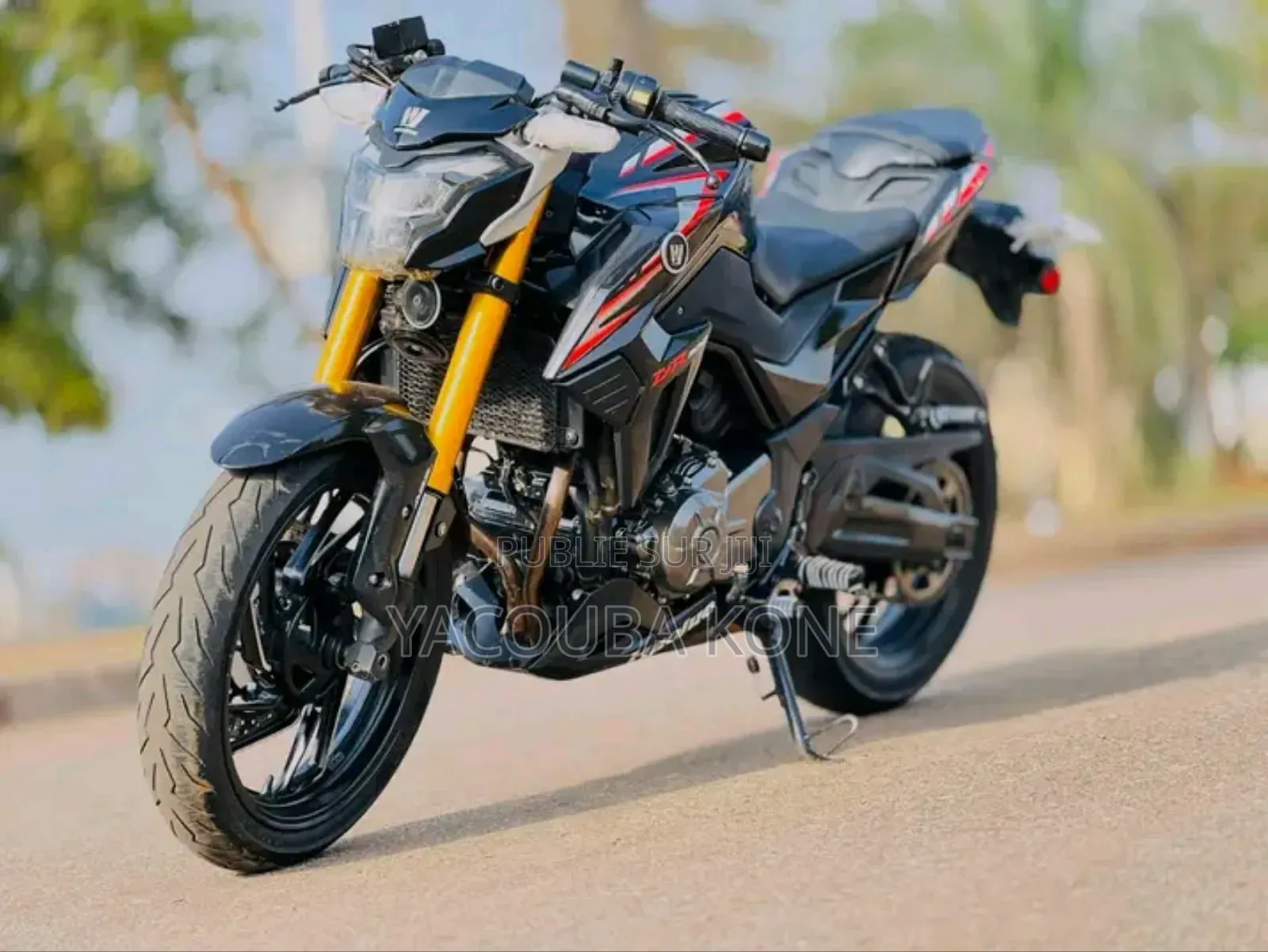 Neuf Haojue DR300 2025 Rouge