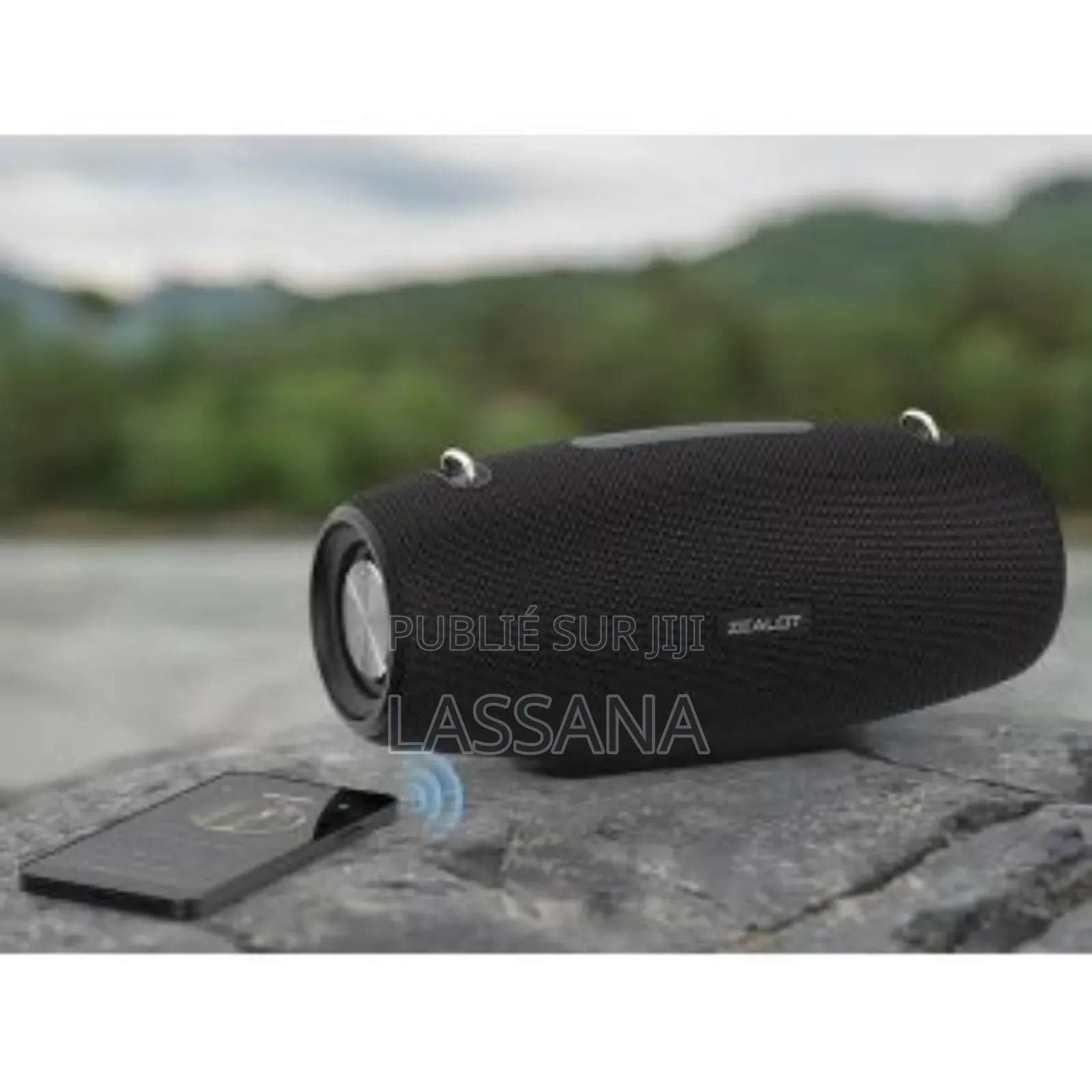 Zealot S67 Haut-Parleur Bluetooth, 60w