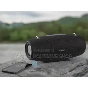 Zealot S67 Haut-Parleur Bluetooth, 60w