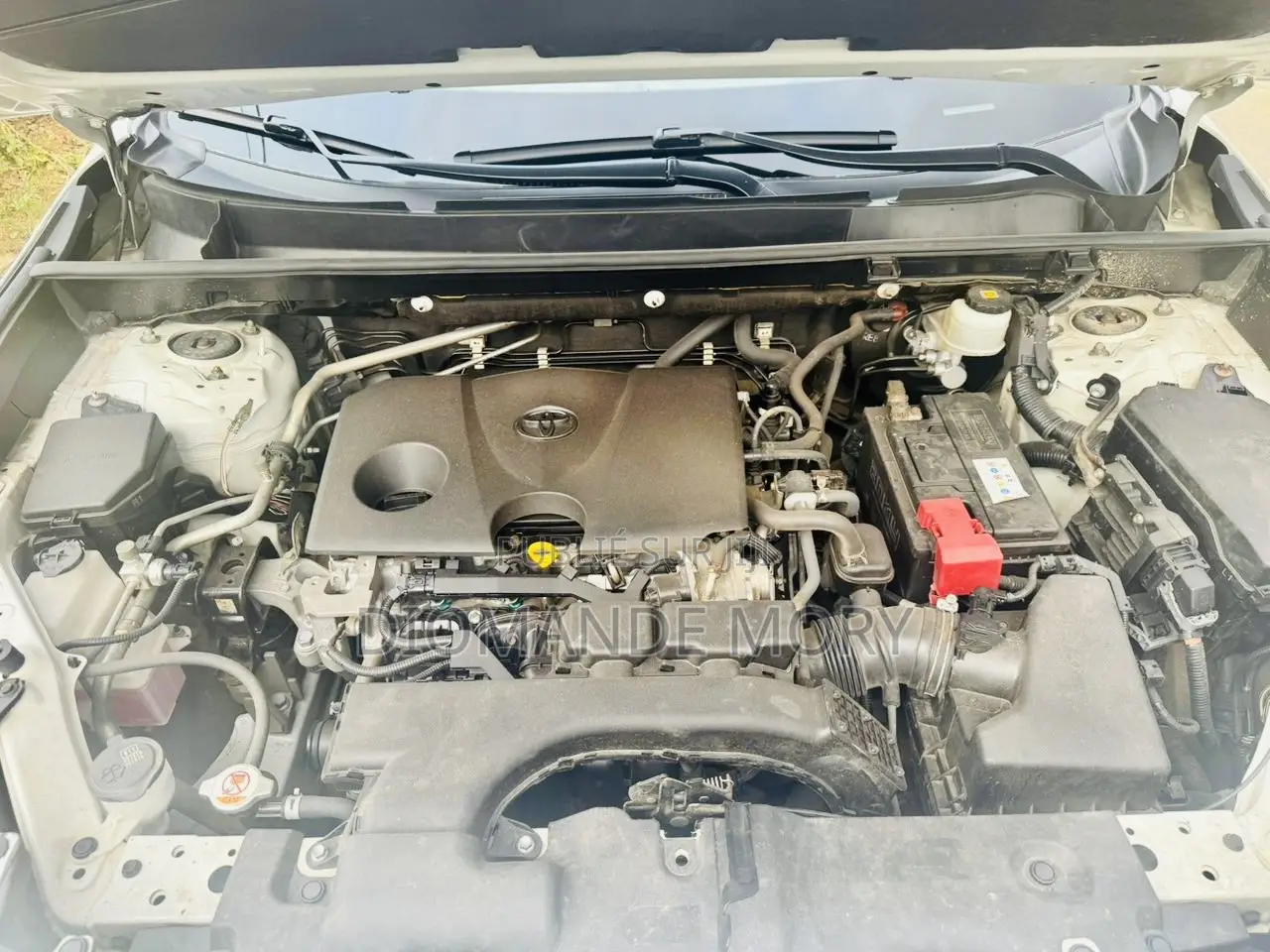 Toyota RAV4 XLE 2021 Blanc