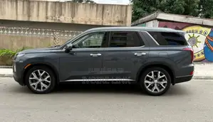 Hyundai Palissade Calligraphy 2021 Gris