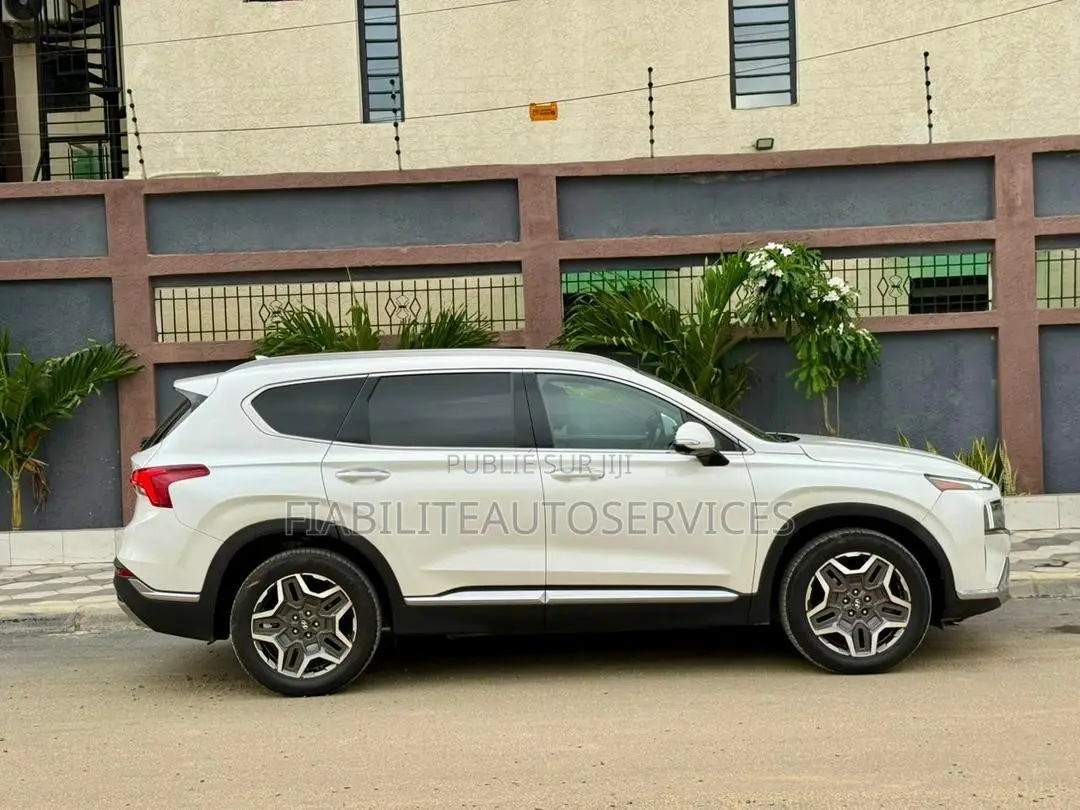 Hyundai Santa Fe Calligraphy 2022 Blanc