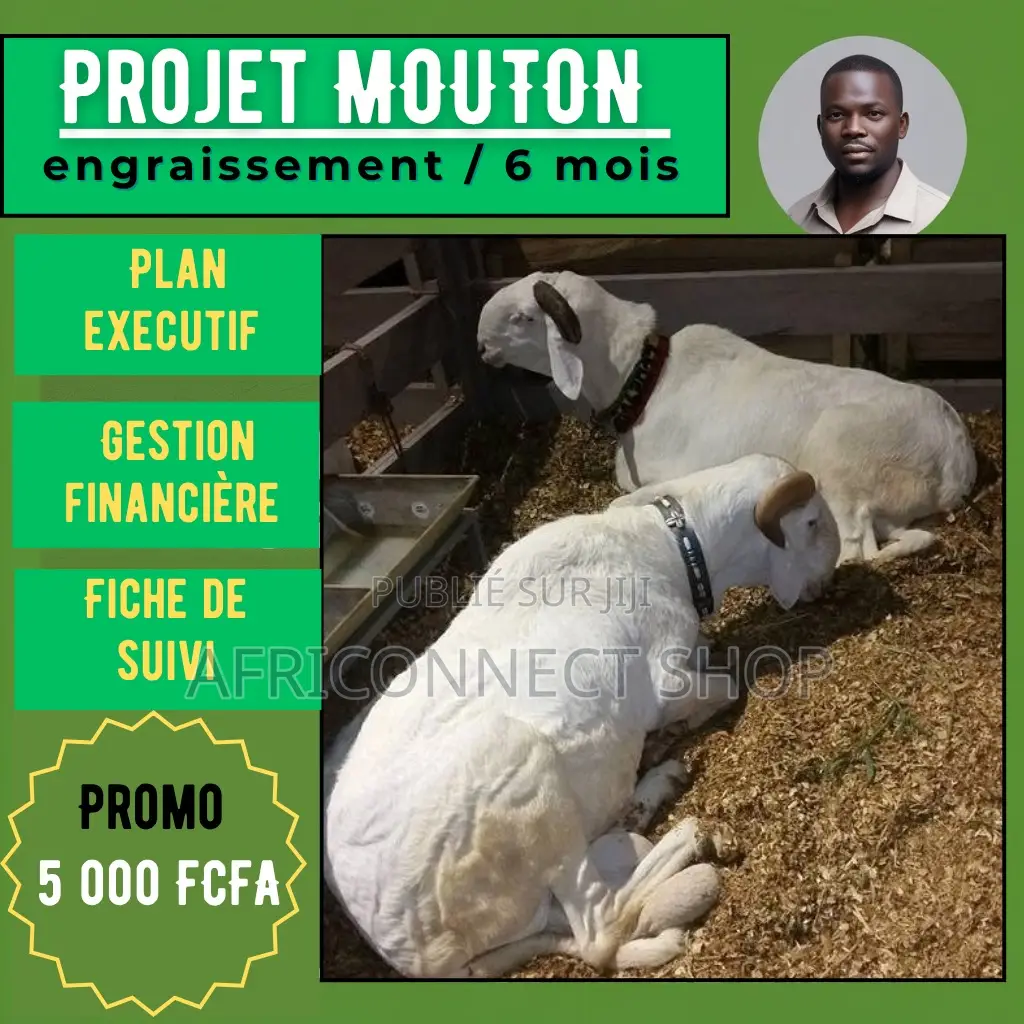 Ebook Projet Complet D’Embouche Ovine
