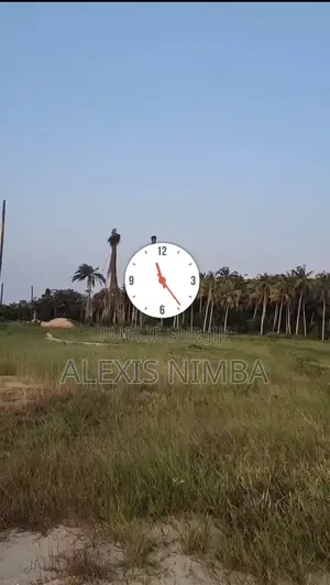 En Vente 500m2 Pied Dans Lagune Baie Des Milliardaires