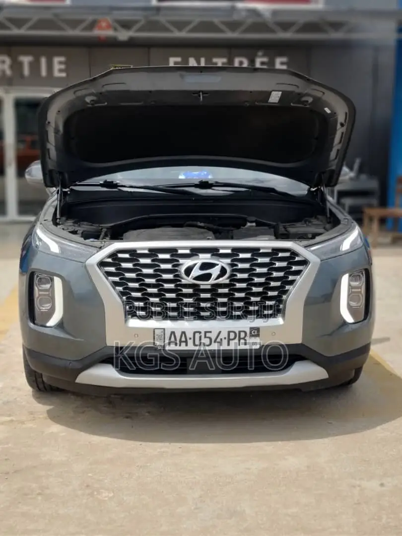 Hyundai Palissade 2021 Gris