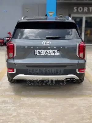 Hyundai Palissade 2021 Gris