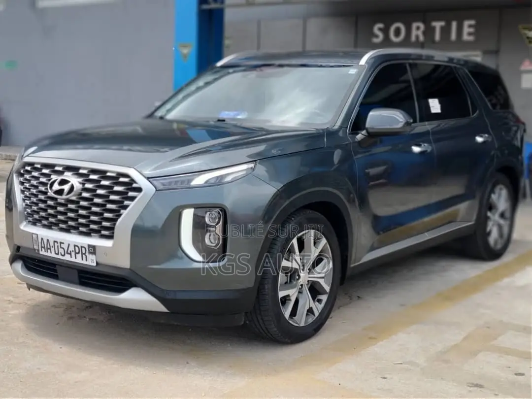 Hyundai Palissade 2021 Gris