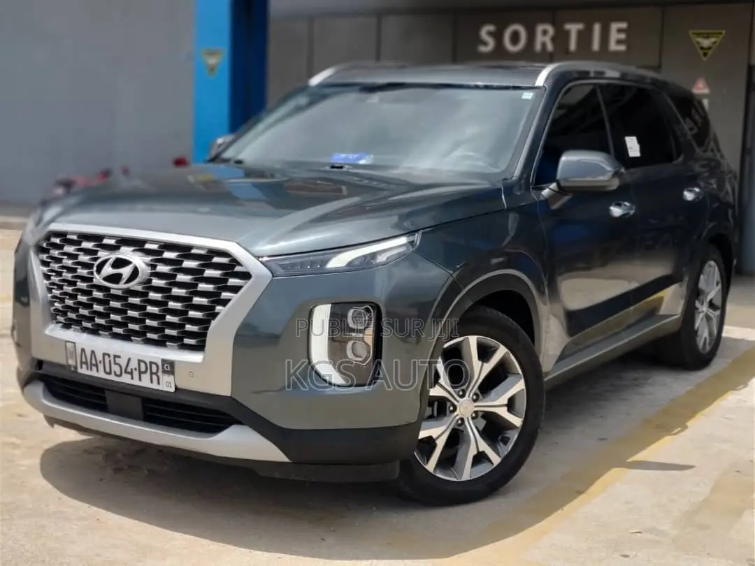 Hyundai Palissade 2021 Gris