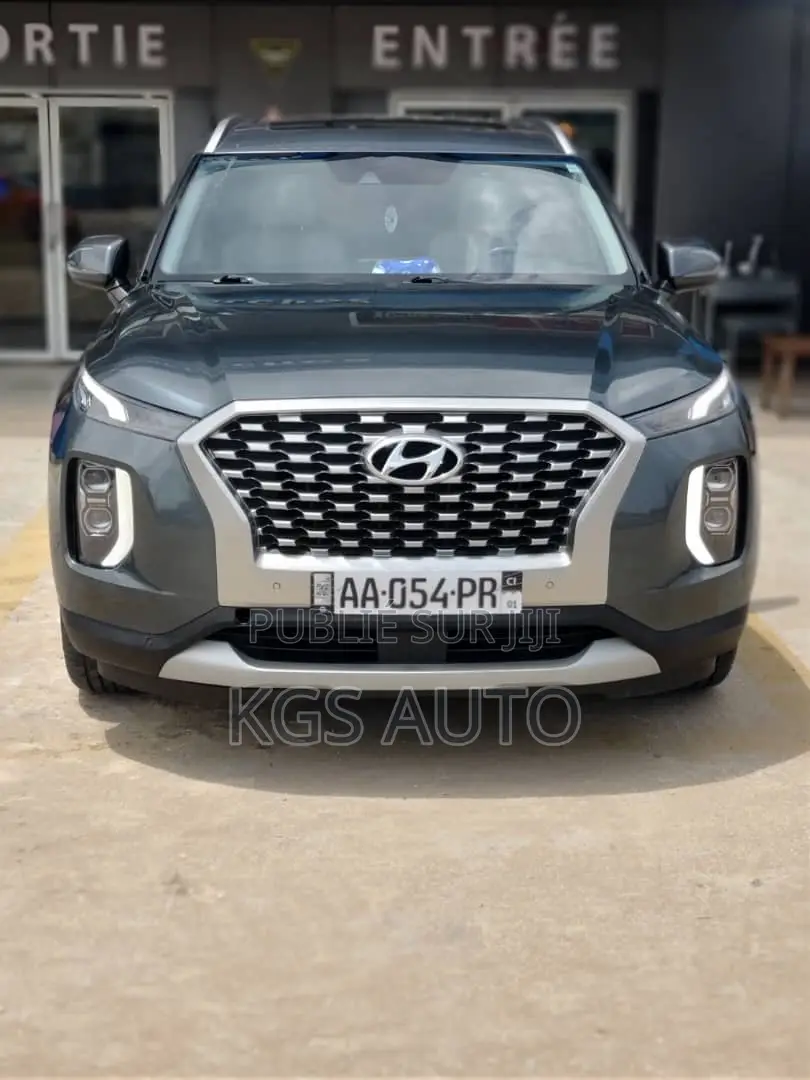 Hyundai Palissade 2021 Gris