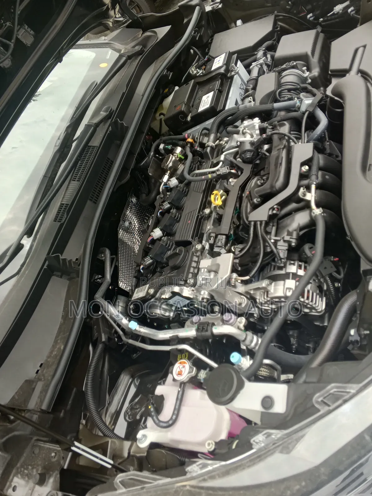 New Kia Sonet 1.2 Petrol FWD 2025 Blanc