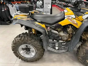 Neuf Can-Am Autre 2009 Jaune