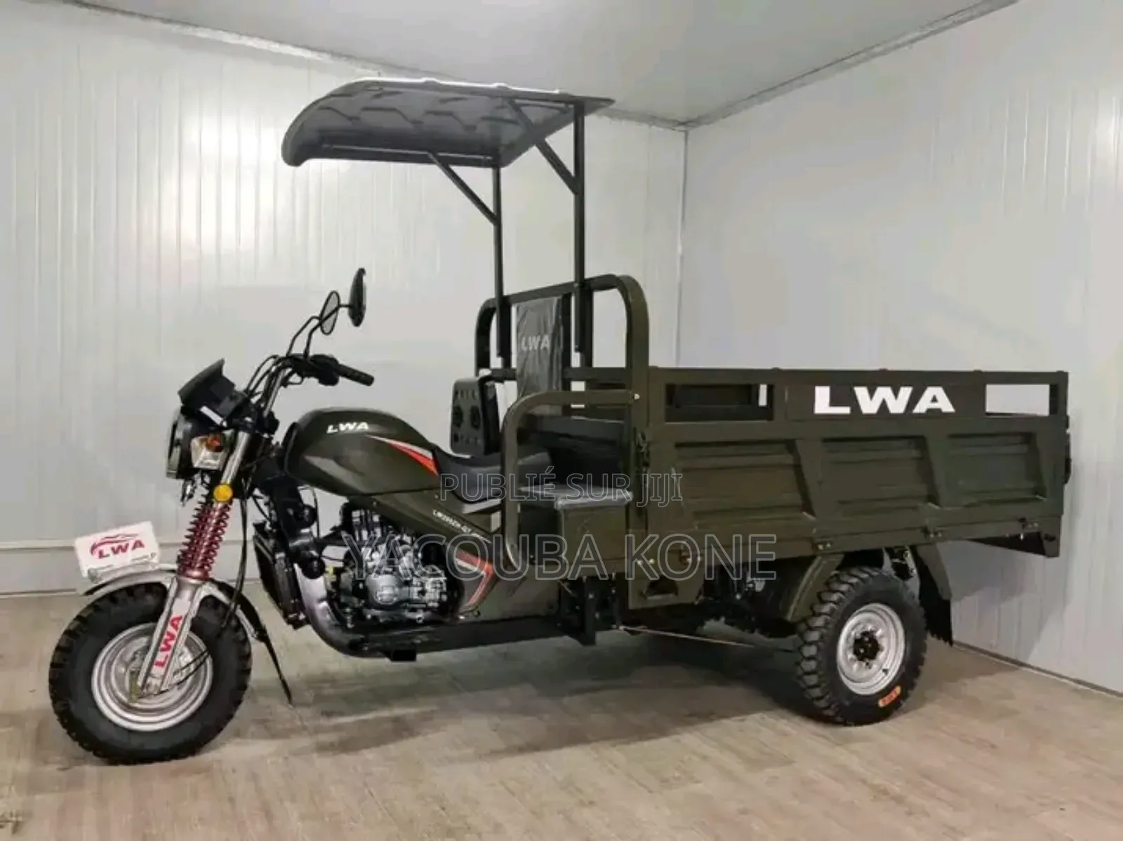 Neuf Tricycle Autre 2022 Vert