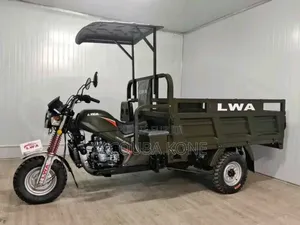 Neuf Tricycle Autre 2022 Vert