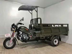 Neuf Tricycle Autre 2022 Vert