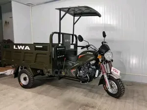 Neuf Tricycle Autre 2022 Vert