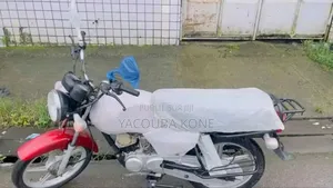 Neuf TVS HLX 125 2024 Rouge