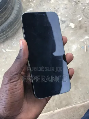 Pomme iPhone 12 Pro 128 GB Bleu