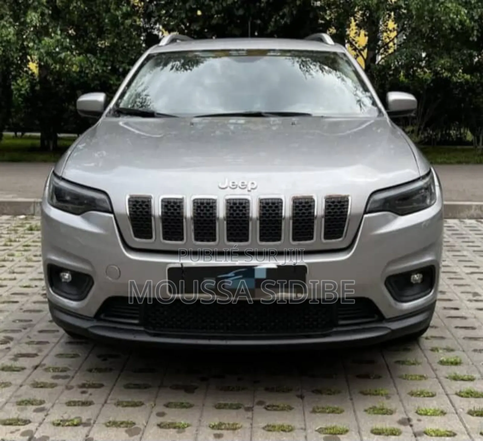 New Jeep Cherokee Altitude Lux 4x4 2023 Gris